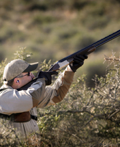 Dove hunting in Argentina